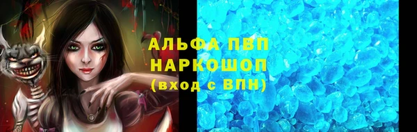 индика Аркадак