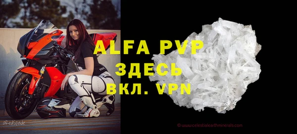 индика Аркадак