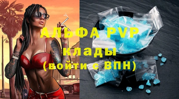индика Аркадак