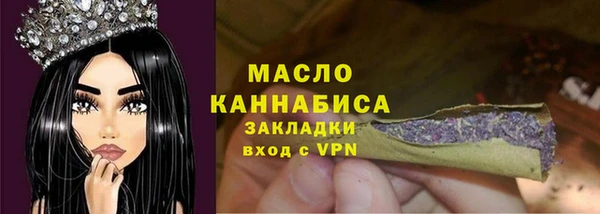 тгк Каменка