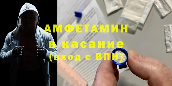 индика Аркадак
