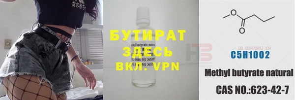индика Аркадак