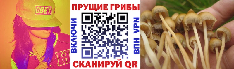 цены наркотик  Горнозаводск  Псилоцибиновые грибы ЛСД 